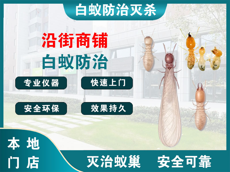 天台沿街商铺白蚁防治