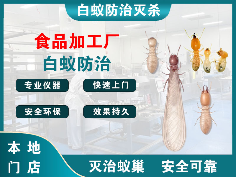 天台食品加工厂白蚁防治
