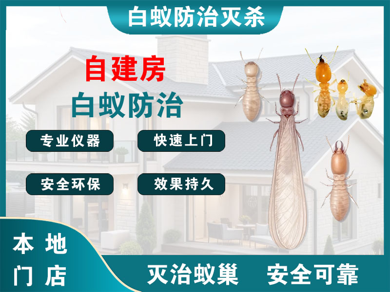 天台自建房白蚁防治